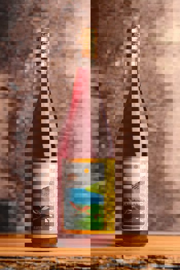 Koppitsch_Austria_burgenland_rose_wine_rozsa_zweigelt_Pinot_Noir_Blaufranisch_St.Laurent_Syrah-3234.jpg